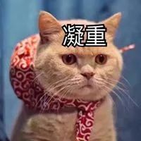 DƬ